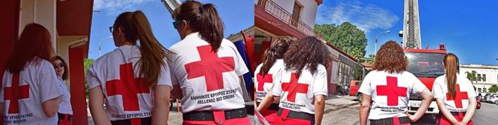 ΕΛΛΗΝΙΚΟΣ ΕΡΥΘΡΟΣ ΣΤΑΥΡΟΣ,  Κινητικότητα Εθελοντών –  Οργανόγραμμα και Εξυγίανση