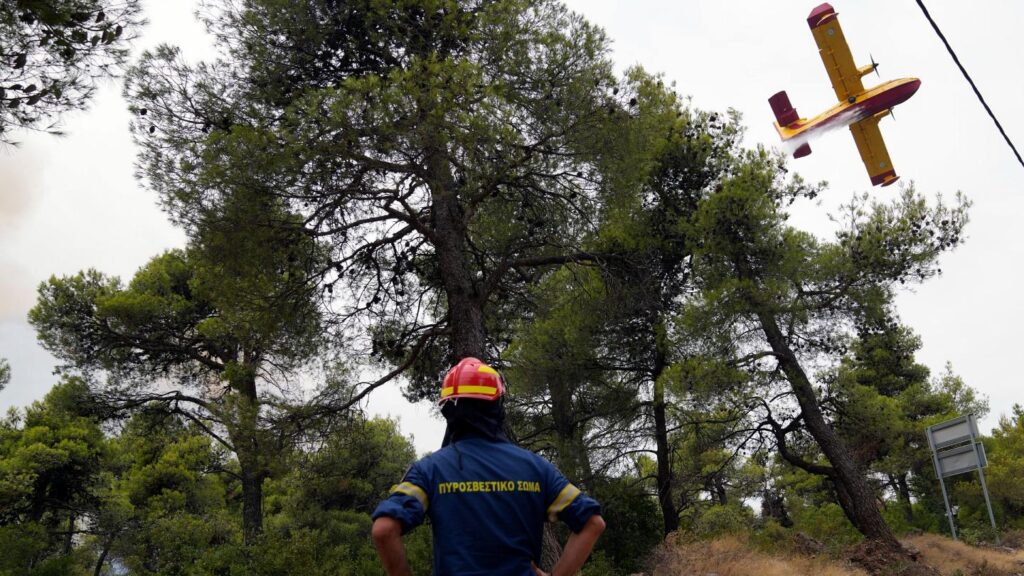 Τραυματισμοί στις Δασικές Πυρκαγιές & Πρώτες Βοήθειες
