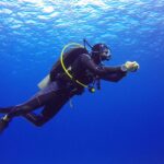 GettyImages-597572085-584819855f9b5851e593fd0b-5c336fd646e0fb0001d39014